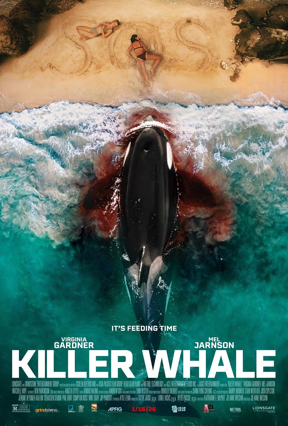 Killer Whale (2026) poster